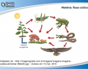 Matéria inorgânica. Adaptado de: . Acesso em 15 mar