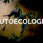 Autoecologia - Conceitos