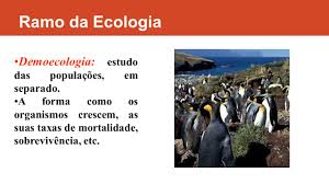 O Que É Demoecologia?