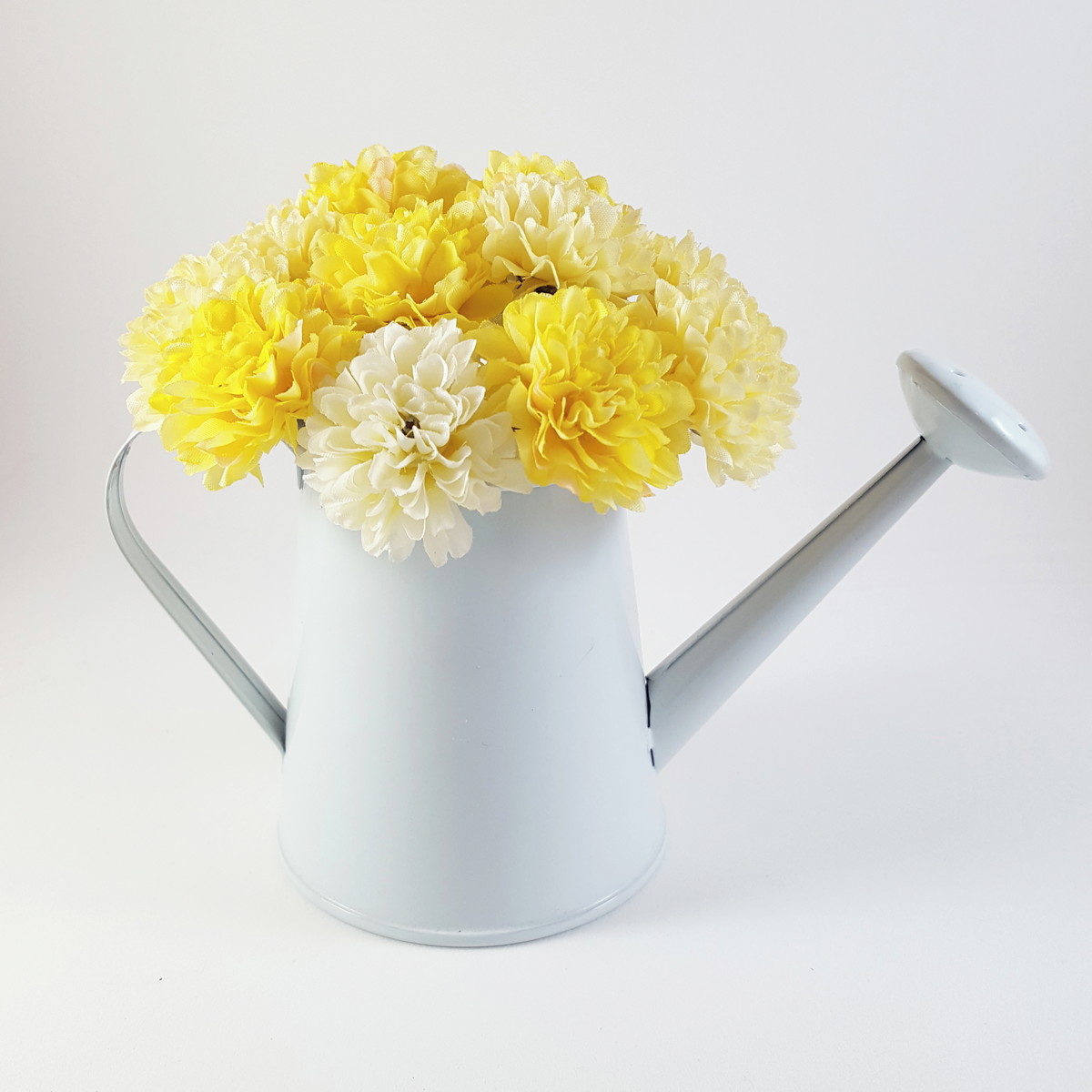 Como Cuidar de Cravos em Vasos
