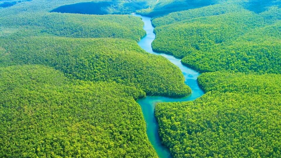 Floresta Amazônica: Características e Imagens
