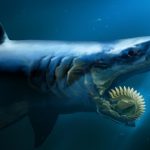 Ilustração de um Tubarão Helicoprion no Fundo do Mar