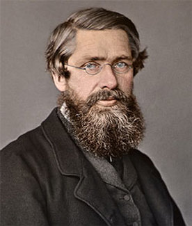 Qual é a Teoria de Darwin e Wallace? O que é Seleção Animal?