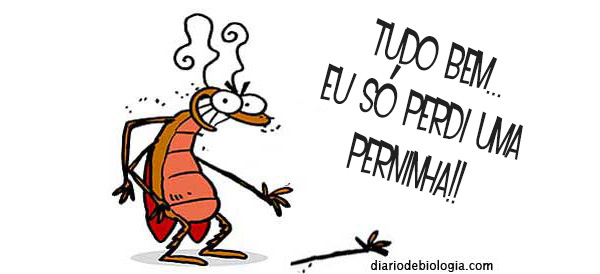 Animais Que Não Sentem Dor, Quais São?