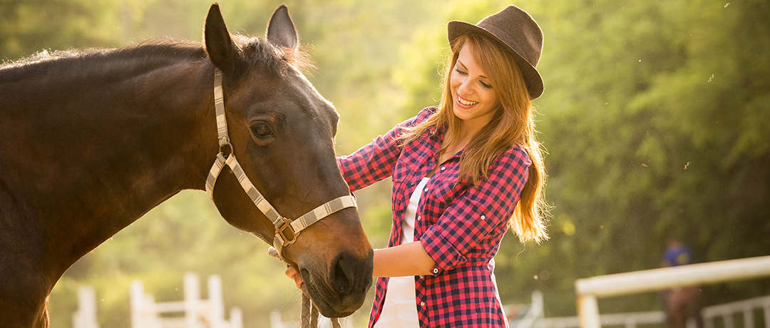 Onde Comprar Cavalos Baratos? Como Encontrar com Preço Bom?