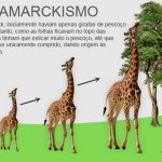Teoria de Lamarck