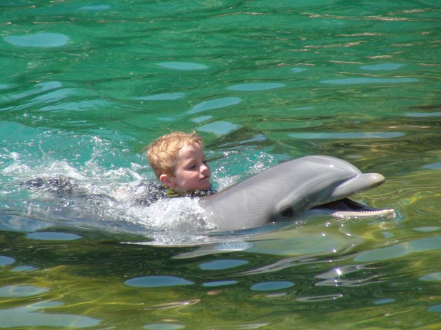 Onde Nadar com os Golfinhos na Disney?