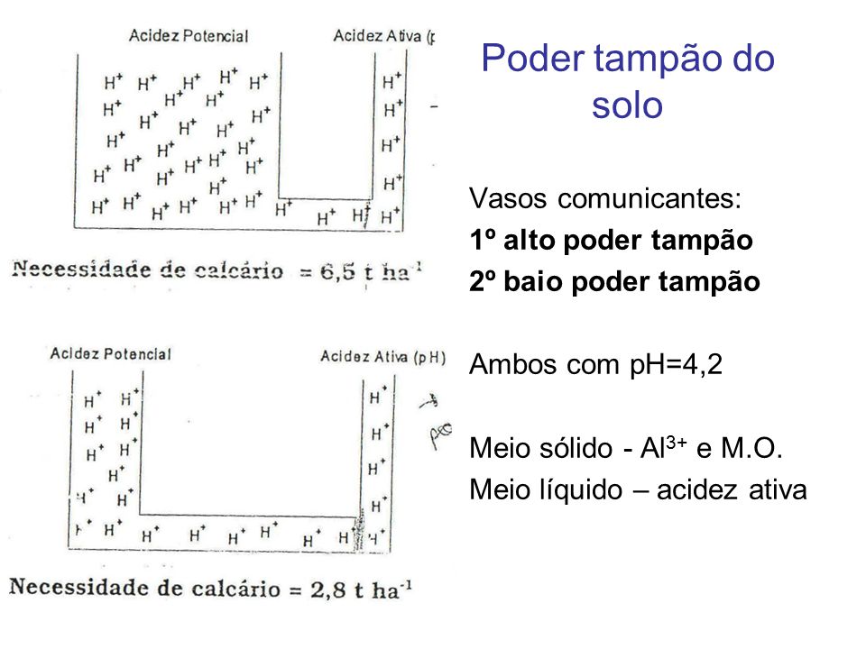 O Que é o Poder Tampão do Solo? Para Que Serve?