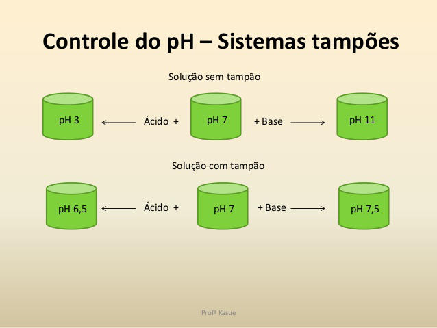 Como Funciona o Sistema Tampão Bicarbonato no Sangue?