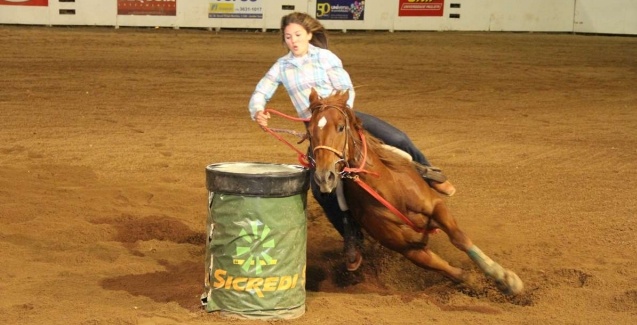 Qual a Melhor Raça de Cavalo Para Prova de Tambor?
