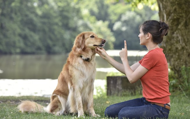 Como Falar Com O Meu Cachorro? Qual Linguagem Devo Usar?