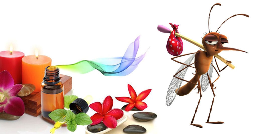 Predadores da Pulga: 7 Inimigos Naturais Eficazes (2026)