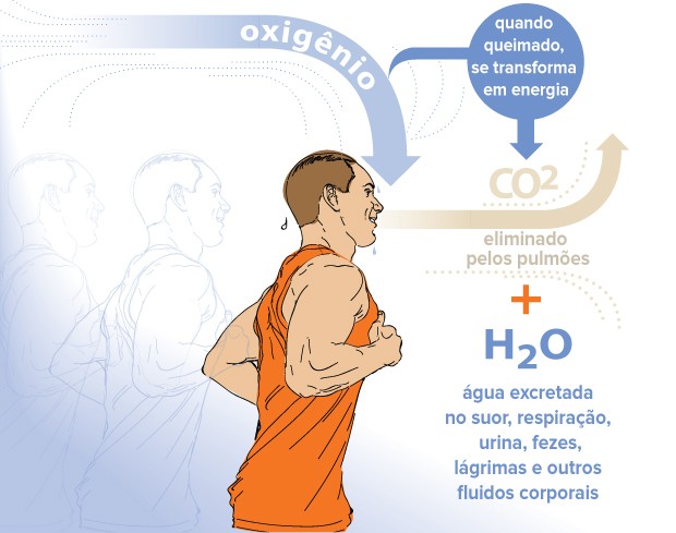 Qual o Efeito do Excesso de CO2 no Organismo?