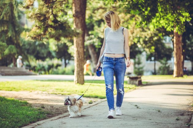 Melhor Horário Para Passear Com Cachorro no Verão