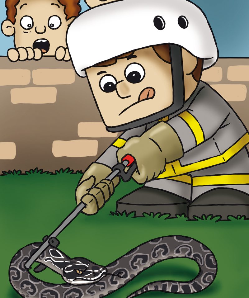 Como Se Defender De Ataques De Cobras?