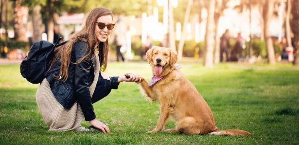 Tudo Sobre Adestramento De Cachorros E Como Ensinar O Seu