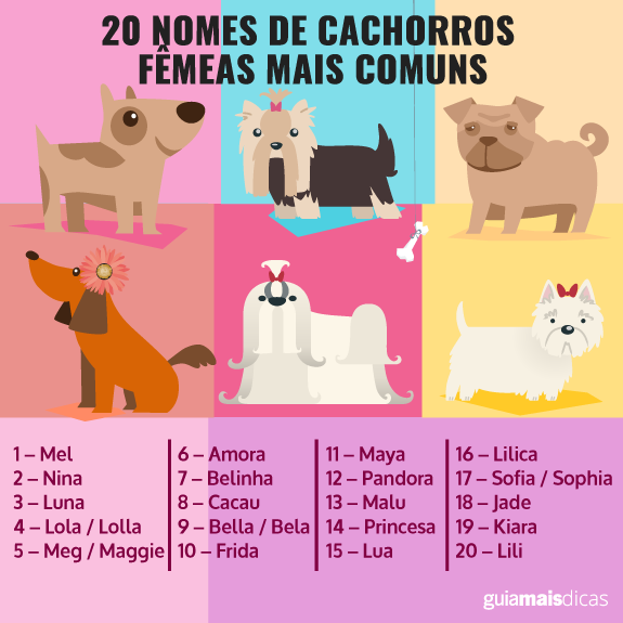 Lista de Nomes Para Cachorros Fêmeas