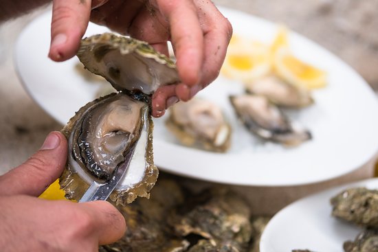 Tipos de Ostras Comestíveis: Espécies de Frutos do Mar