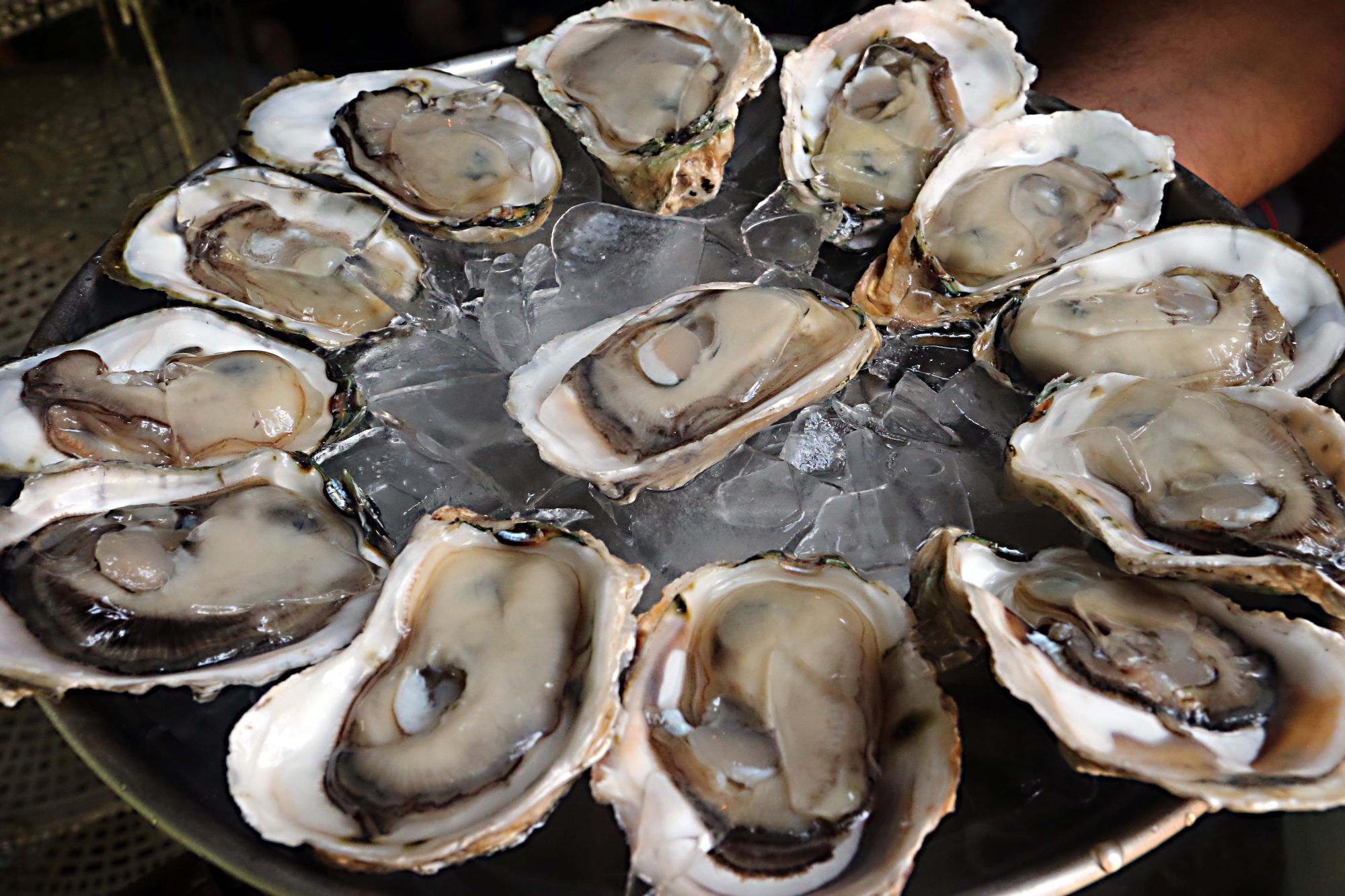 Quais São os Bivalves Comestíveis Existentes?