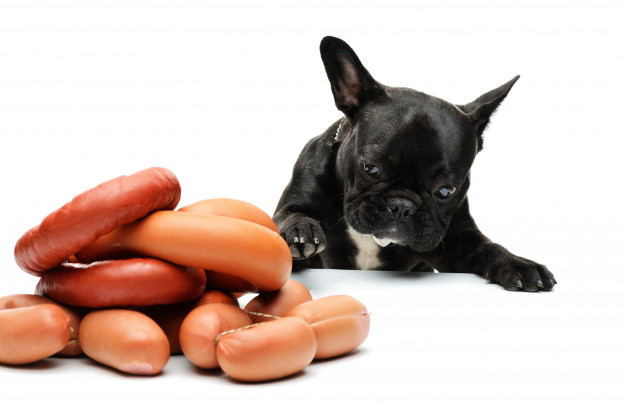 Pode Dar Salsicha Pro Cachorro?