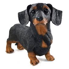 Tipos de Basset Dachshund – Quais São?