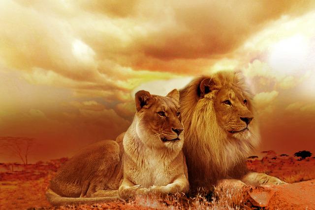 O Que São os Animais Selvagens?