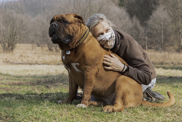 Como Ter um animal de Apoio Emocional?