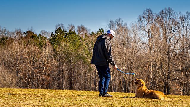 Como Ensinar o Cão a Obedecer?
