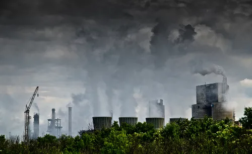 Os efeitos da poluição nos ecossistemas: Impactos ambientais e soluções