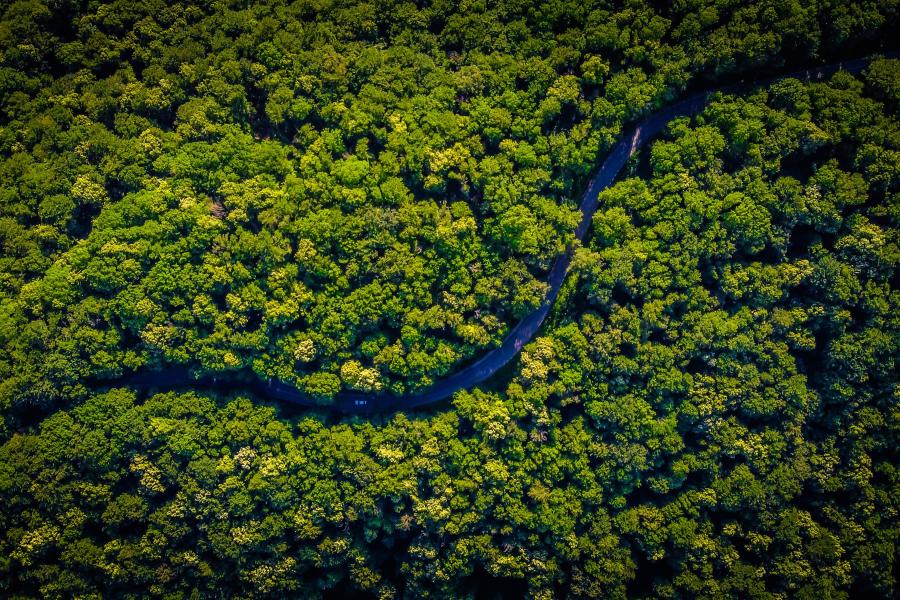Áreas protegidas: Preservação dos espaços naturais e a biodiversidade