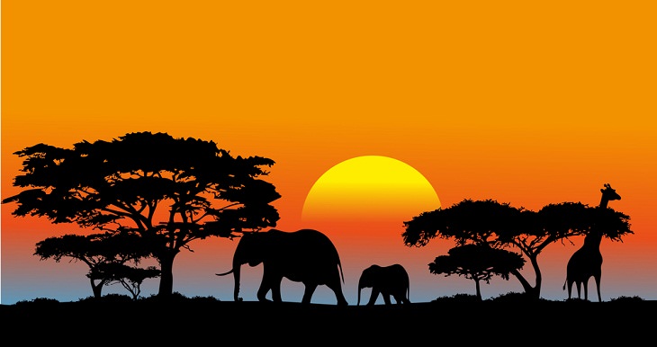 A vida selvagem na savana africana: os animais icônicos e a beleza do ecossistema