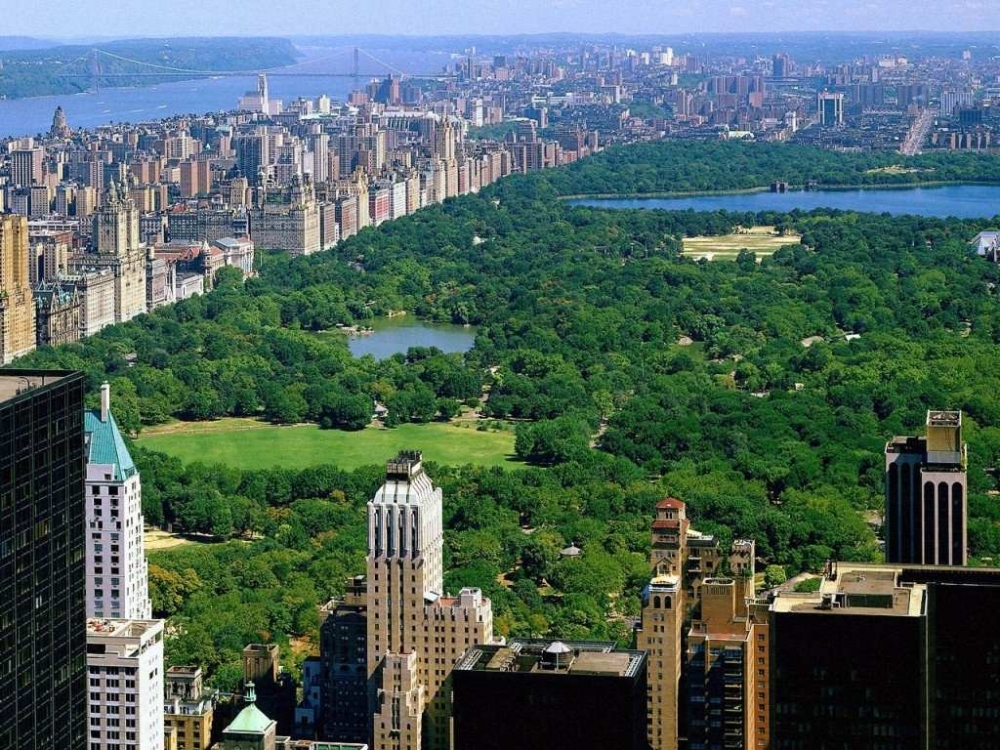 Os benefícios das áreas verdes urbanas: a natureza transformando as cidades