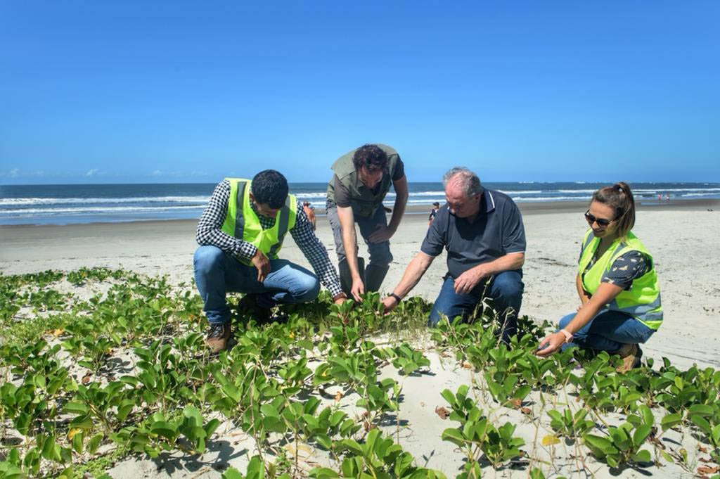 Os Benefícios da Proteção das Áreas de Restinga: Preservando a Natureza