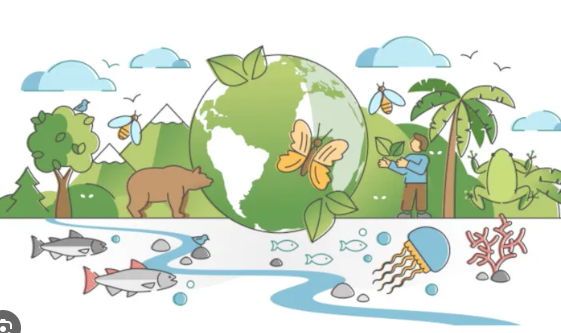 Características Ambientais da Terra