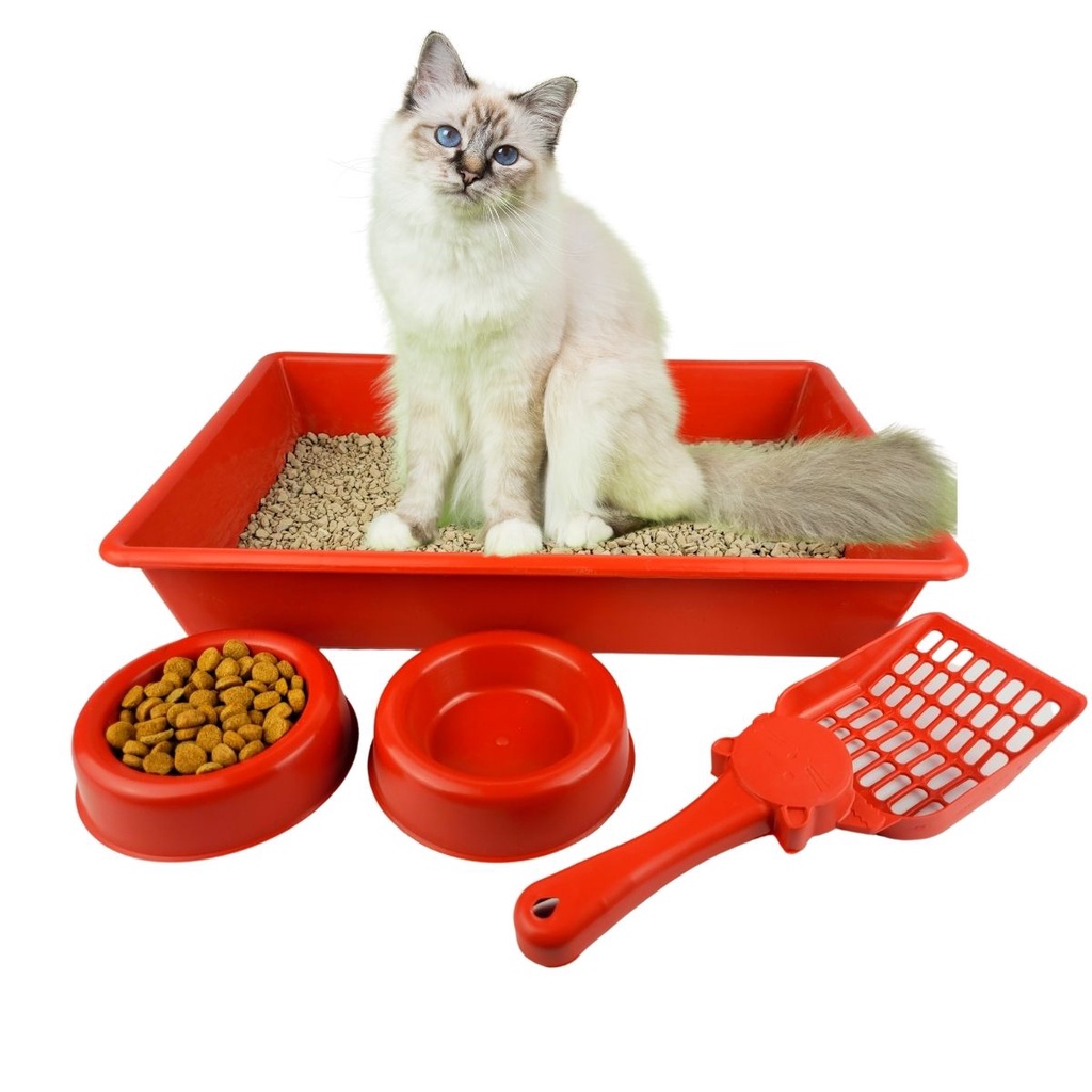 Caixa de Areia para Gatos: Como Encontrar a Opção Ideal