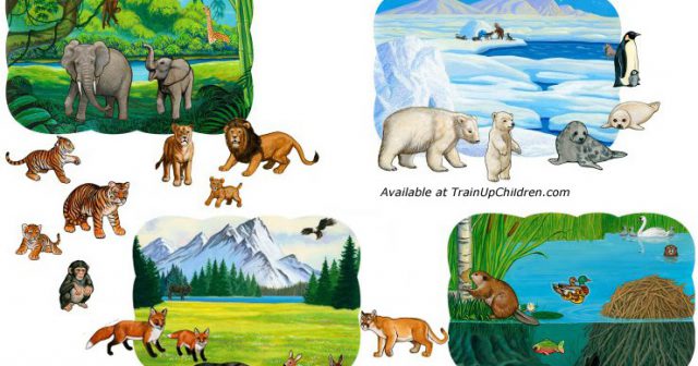 Habitat: A Base da Biodiversidade