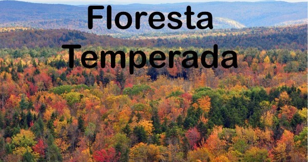 Florestas Temperadas no Hemisfério Sul