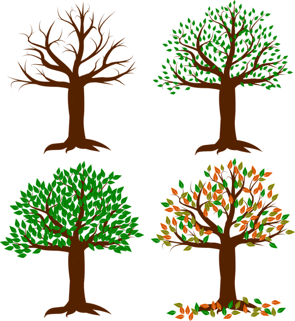 Ecologia e Saúde: Aliados Inseparáveis