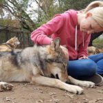 Mulher com Lobo no Colo