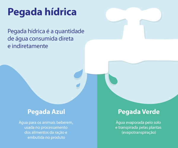 Consumo de Água e Pegada Hídrica