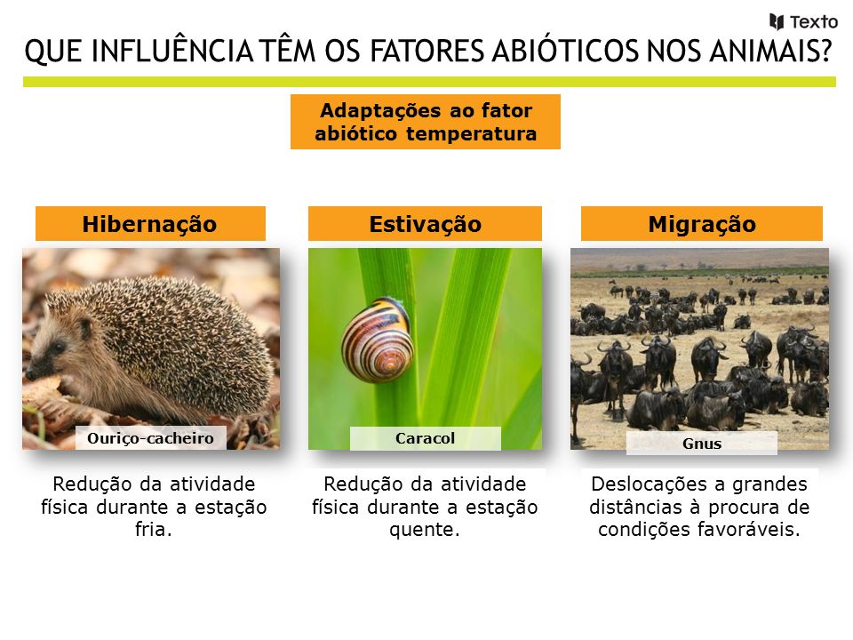 Espécies e Fatores Abióticos
