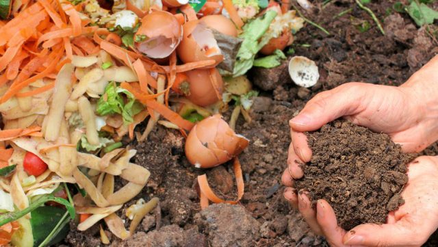 Lixo Orgânico e Compostagem Sustentável