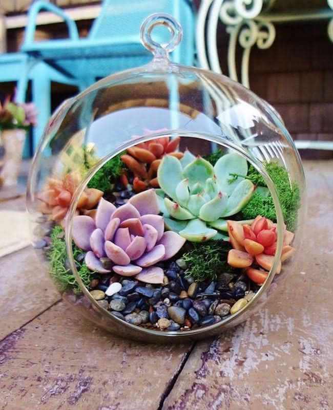 Plantas Fantasma no Feng Shui para a Casa
