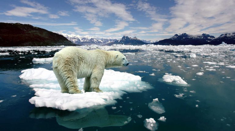degelo polar