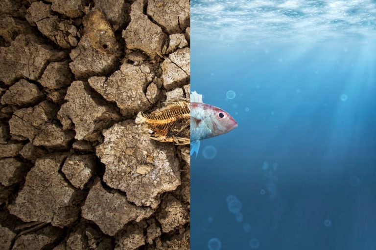 mudanças climáticas nos mares
